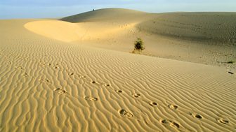 The Man Who Walked Across the World
