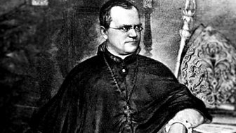 Gregor Mendel - A Monk and Two Peas