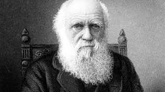 Dear Darwin