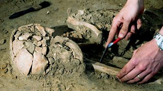 The Voices Who Dug Up The Past