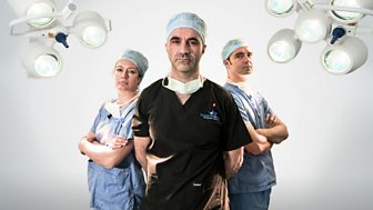 The Bionic Vet