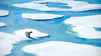 Uncertain Climate