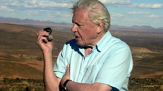 David Attenborough's First Life
