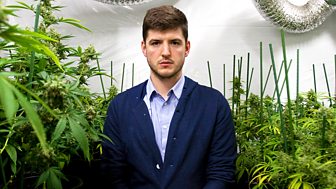 Cannabis: What's the Harm?