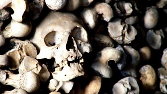 Elspeth Davie - A Collection of Bones