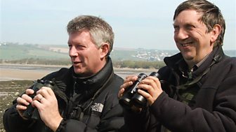 A Guide to Farmland Birds