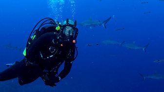 Great Barrier Reef