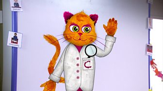 Curious Cat