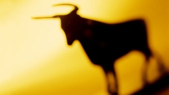 Roddy Doyle - Bullfighting