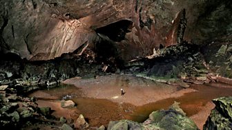 The Cave