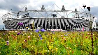 Olympics Extra