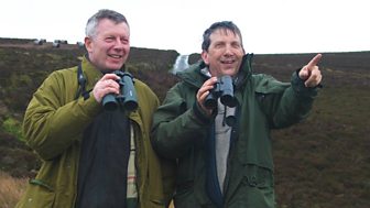 A Guide to Mountain and Moorland Birds