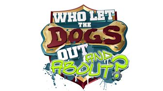 Who Let the Dogs Out and About?