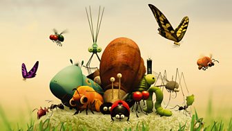 Minuscule: The Private Life of Insects
