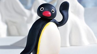 The Pingu Show