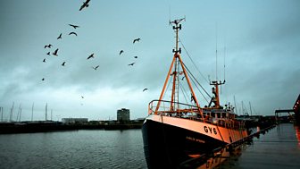 Shipping Forecast