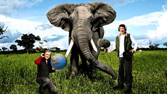 World On The Move: Great Animal Migrations