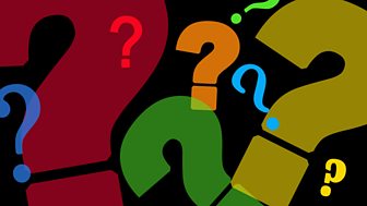 Questions, Questions