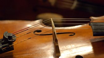 Music Feature