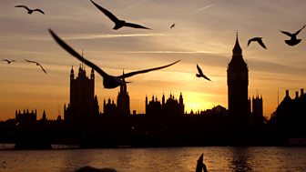 Beyond Westminster