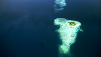 South Pacific