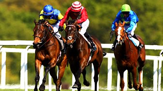 Racing: Royal Ascot