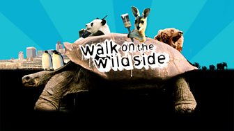 Walk on the Wild Side