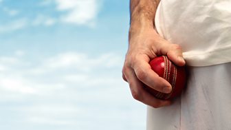 International Cricket