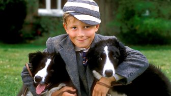 Just William - Live!