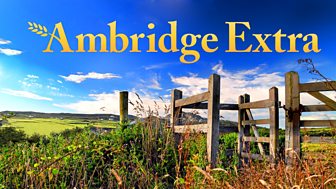 Ambridge Extra