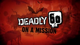 Deadly 60 on a Mission