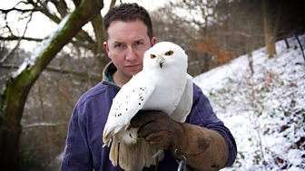 Rhys Jones's Wildlife Patrol