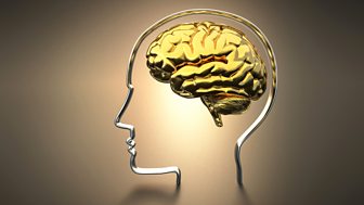 In Search of Ourselves: A History of Psychology and the Mind