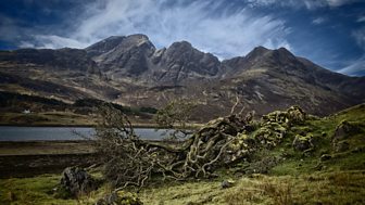 Out of Doors