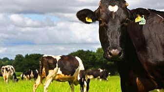 On Your Farm