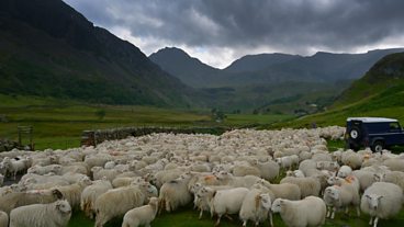 In pictures: Snowdonia