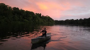 In pictures: Amazon Flooded Forests