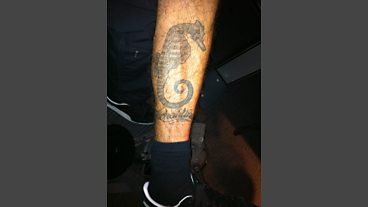 What's Tatt About?