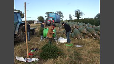 Christmas in Norfolk