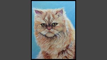 Basil the Cat performs