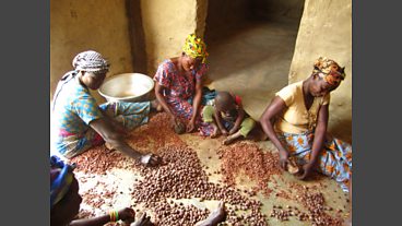 Comic Relief's work with Tree Aid in Ghana