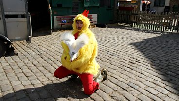 Chickens - A Cock in the Coop