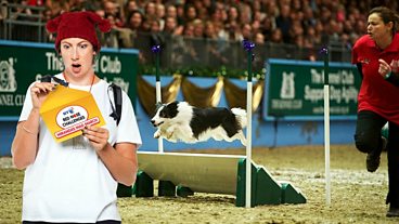 Miranda's Mad March, Day 4: Dog Show