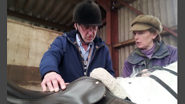 At Your Leisure - Horse Riding