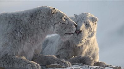 Two animated prehistoric cats touch noses amongst a snowy environment.