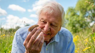 David Attenborough smiling while holding a small brown mouse in his hand outdoors.