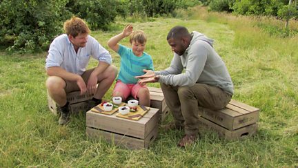 Sheep Shearing and Picking Blackberries