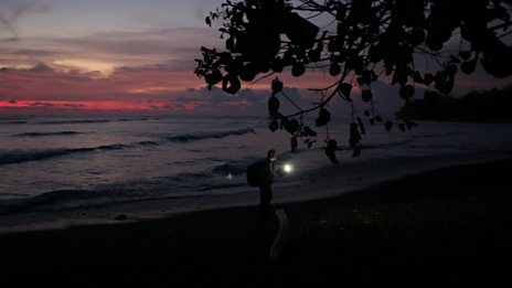 In pictures: Central American Jungle