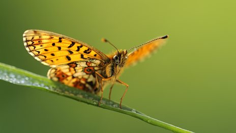 In pictures: New Forest