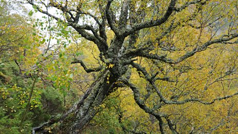 In pictures: Cairngorms